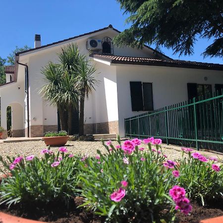 B&B Zac House Toirano Zewnętrze zdjęcie
